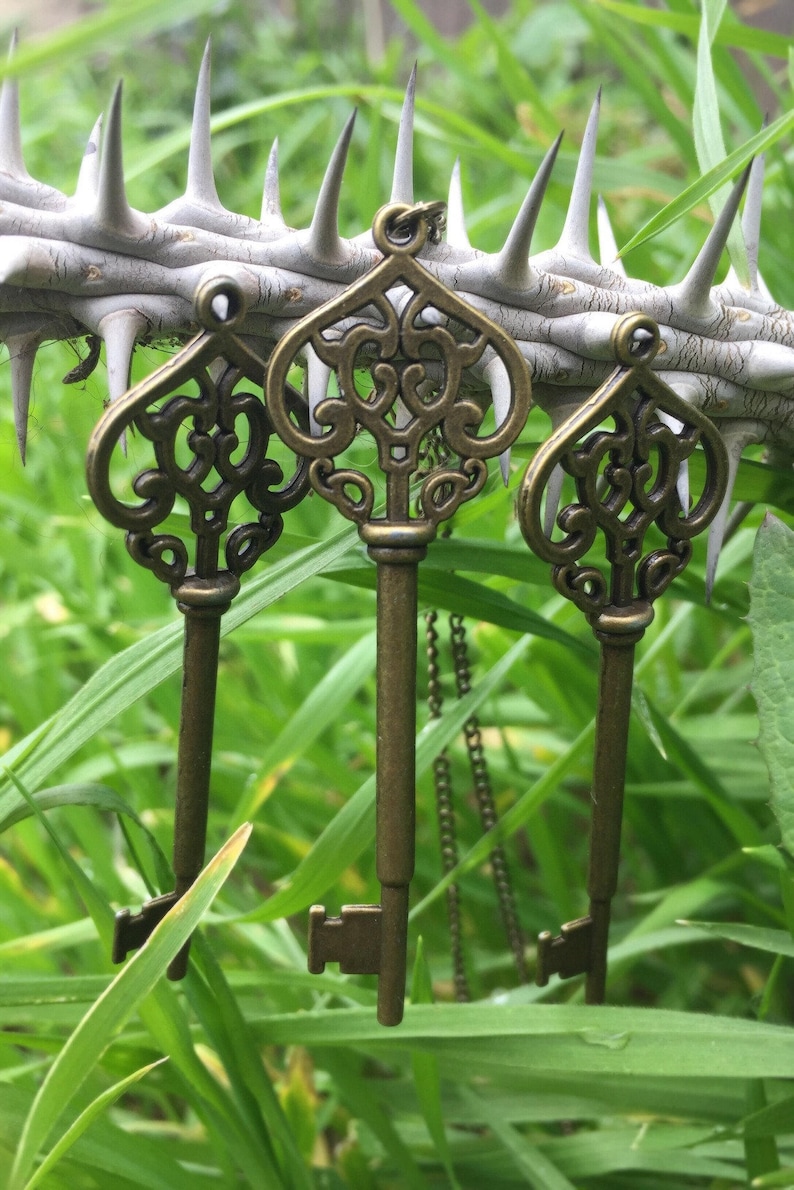 May include: Three ornate gold-toned skeleton keys with intricate designs hang from a thorny branch. The keys are suspended against a backdrop of green grass.