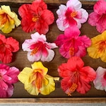 Hibiscus Accessories