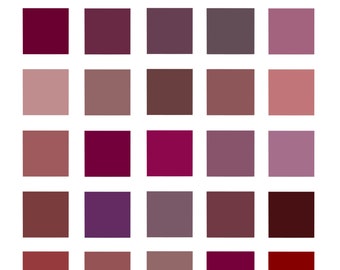 BERRY Procreate Color palette / procreate palette/ iPad Pro/Paint Palette/Color Swatches/Procreate Swatches