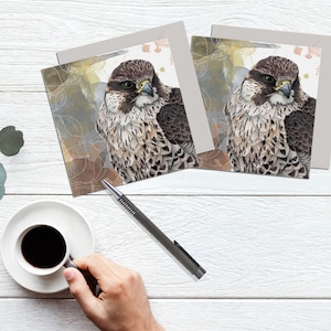 Falcon bird card, set of 2 greeting cards, bird of prey