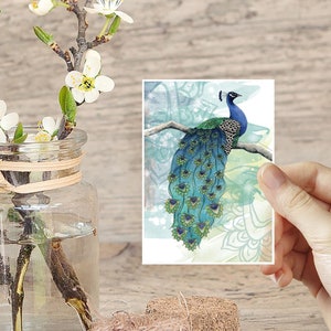 Tiny Prints, Peacock Art, ACEO in the UK, Miniature Prints, Peacock Decor, Small Artwork, Teal Bird Illustration