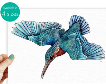 May include: A detailed illustration of a blue and green kingfisher in flight, with its wings spread wide and its beak pointed downwards. The bird is depicted with intricate patterns and textures, creating a realistic and vibrant image.
