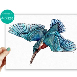 Dessin de martin-pêcheur, impression d&#39;illustration d&#39;oiseau, impression de nature de décor bleu de cadeau de martin-pêcheur