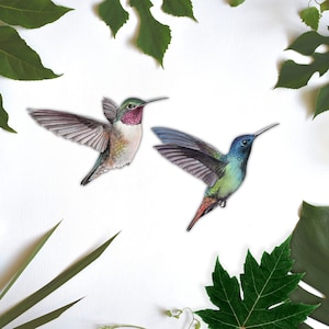 Pegatinas de pared de colibrí, decoración de colibrí, vinilo de colibrí, arte de colibrí, naturaleza