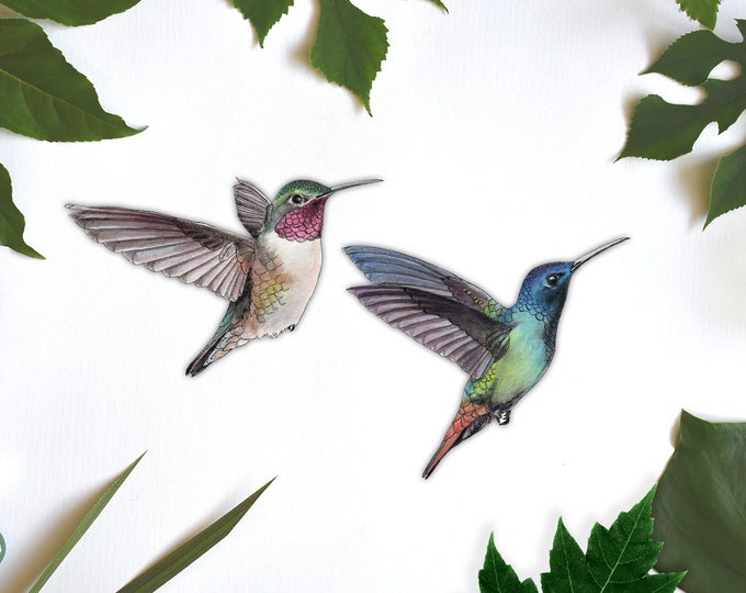 Hummingbird Wall Stickers, Hummingbird Decor, Humming Bird Vinyl Wall