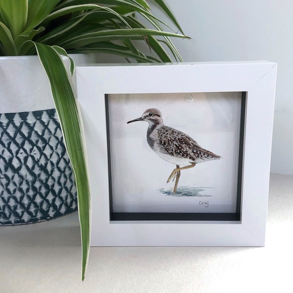 Sandpiper Mini Art Print, Small Framed Print, Tiny Water Bird Print, Miniature Painting, Framed Bird Print, Tiny Gifts