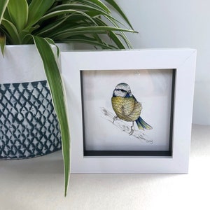 Może przedstawiać: Ramowany obraz akwarelowy przedstawiający sikorkę błękitną siedzącą na gałęzi. Ptak jest przedstawiony w odcieniach niebieskiego, żółtego i białego, z czarnym okiem i małym czarnym dziobem. Obraz jest umieszczony na białym tle i oprawiony w białą ramę.