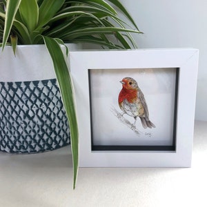 Op de afbeelding: Een ingelijst aquarel schilderij van een roodborstje dat op een tak zit. Het roodborstje is afgebeeld in een gedetailleerde, mozaïekachtige stijl met rode, witte en grijze kleuren. Het schilderij is onderaan rechts gesigneerd met "Carey".