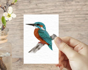 Tiny art print miniature prints Kingfisher art ACEO print nature lover mini art prints bird lover mini birds miniature painting