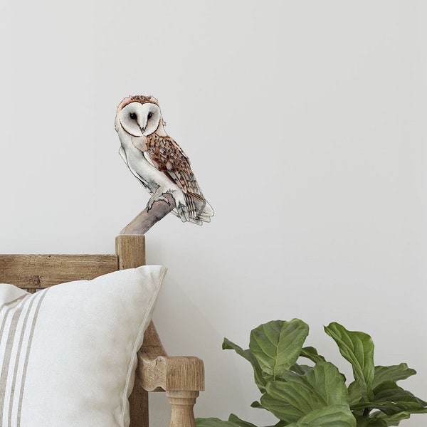 Owl Wall Decal - Etsy