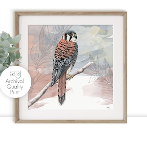 Kestrel print, Bird of Prey Wildlife Art for the Bird Watcher and Bird Lover, Modern Farmhouse Art, Birds of Prey Wall Art