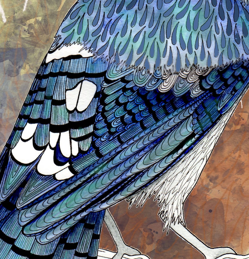 blue-jay-bird-print-nature-art-illustration-print-bird-etsy