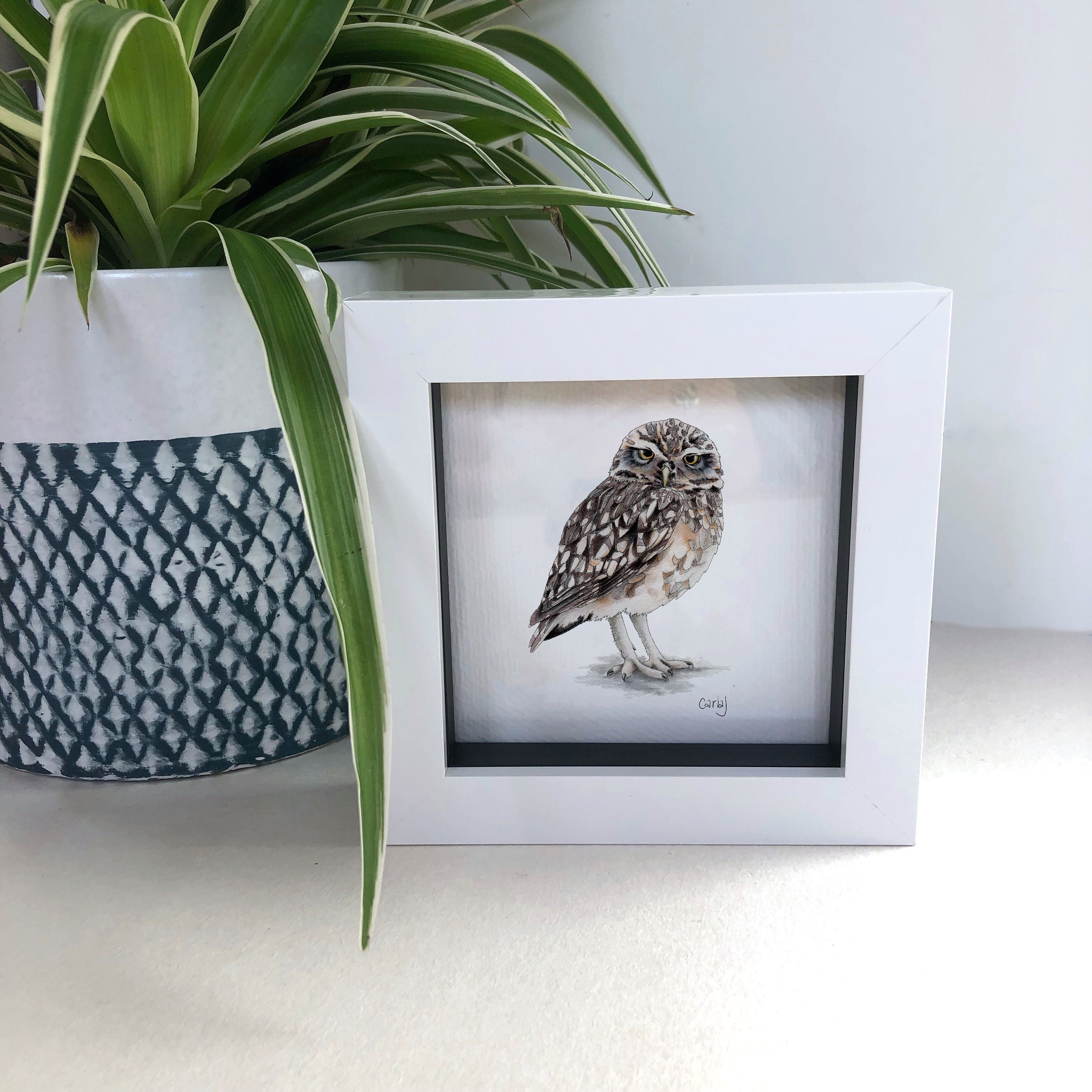 Tiny Owl Art Print, Small Framed Bird of Prey Print, Tiny Owl Gifts, Miniature Art