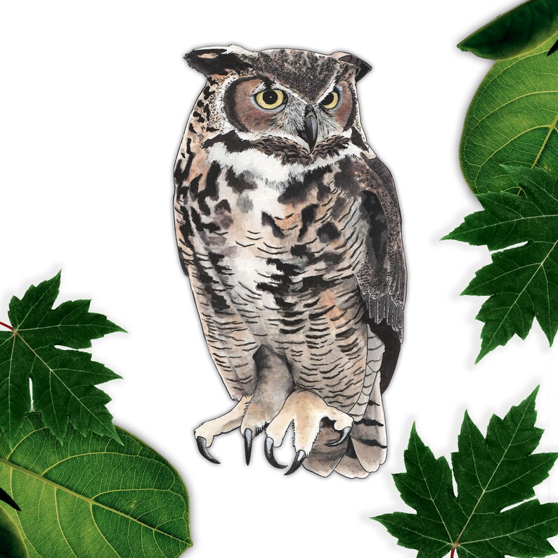 Large Owl Wall Decal Vinyl Wall Sticker Owl Lover Gift Etsy UK