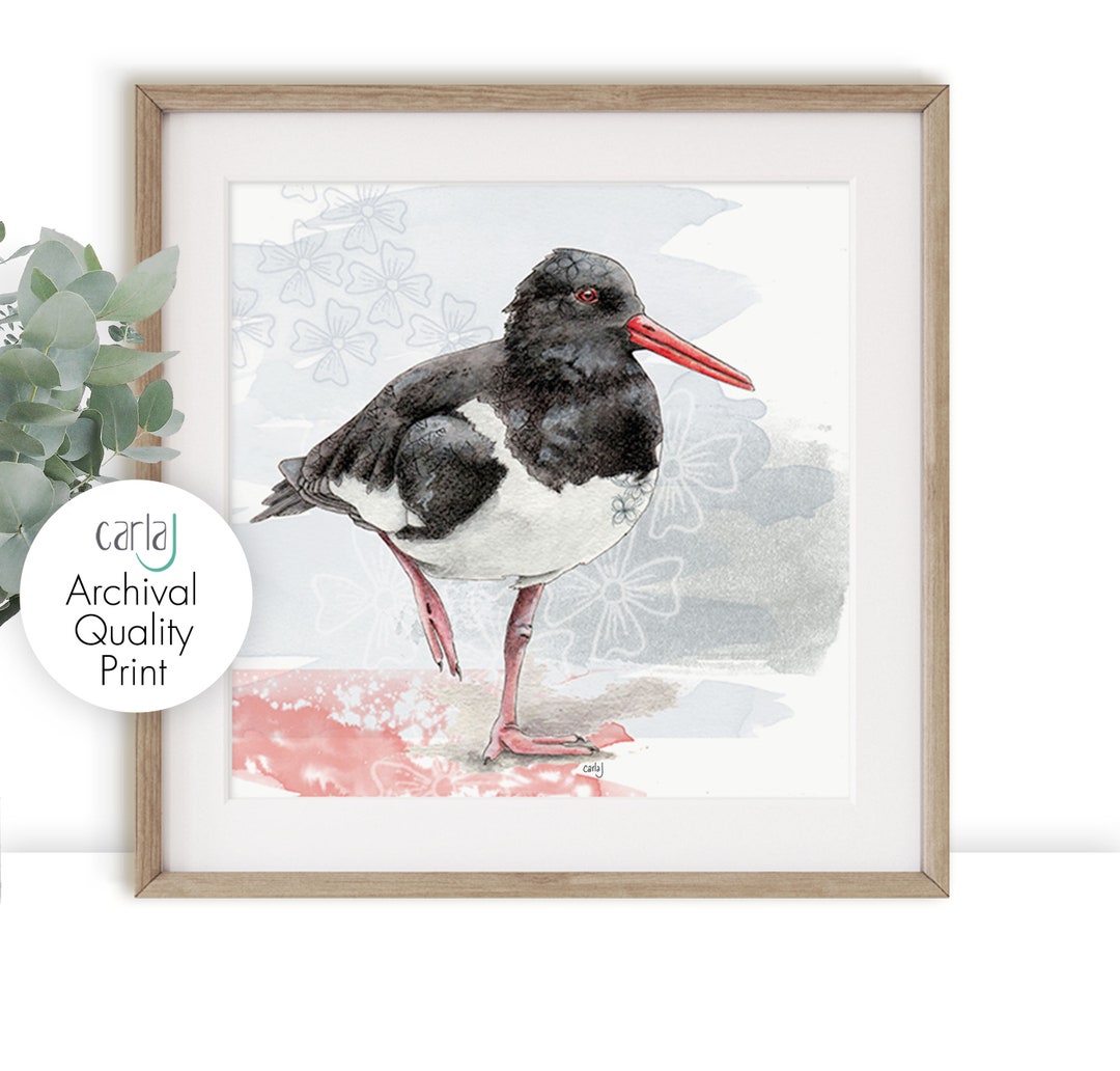 Oystercatcher Print Wading Bird Illustration Oyster Catcher Etsy UK