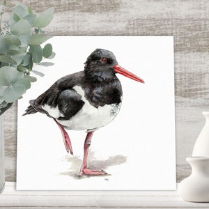 Oyster catcher print, wading bird wall art, limited edition prints, coastal birds, black and white Oystercatcher