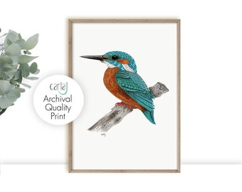 Kingfisher bird art print, Modern farmhouse prints, Teal wall art, Bird illustration print, Blue wall art, Nature prints, Bird lover gift