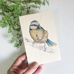 Blaumeise aus Holz Postkarte, Britische Gartenvögel Druck auf Holz, Geschenk für Vogelliebhaber, natürliches Dekor