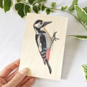 Specht Karte, Holz Postkarte, Specht Geschenke, Holz Postkarte, Naturkarten, Nur weil Karte, Wildtier Kunst