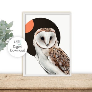 Barn Owl Bird Illustration, Downloadable Print, Night Owl, Scandinavian Decor, Digital Prints Download, Bird of Prey Wall Art, Wildlife Art