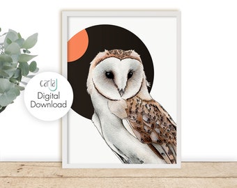 Barn Owl Bird Illustration, Downloadable Print, Night Owl, Scandinavian Decor, Digital Prints Download, Bird of Prey Wall Art, Wildlife Art