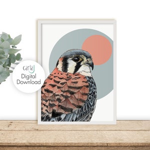 Digital Prints Download, Kestrel Bird of Prey Print, Scandi Printable Art, Wildlife Art, Bird illustration in Blue and Copper