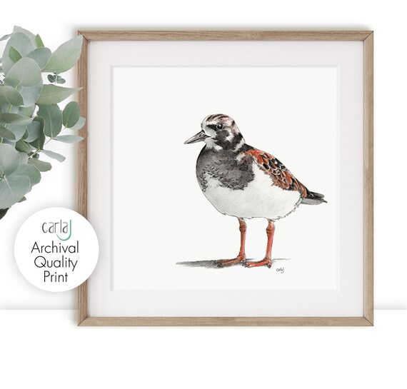 RSPB Birds Seabird Seaside Theme Grey White Red Black Round Wall Clock