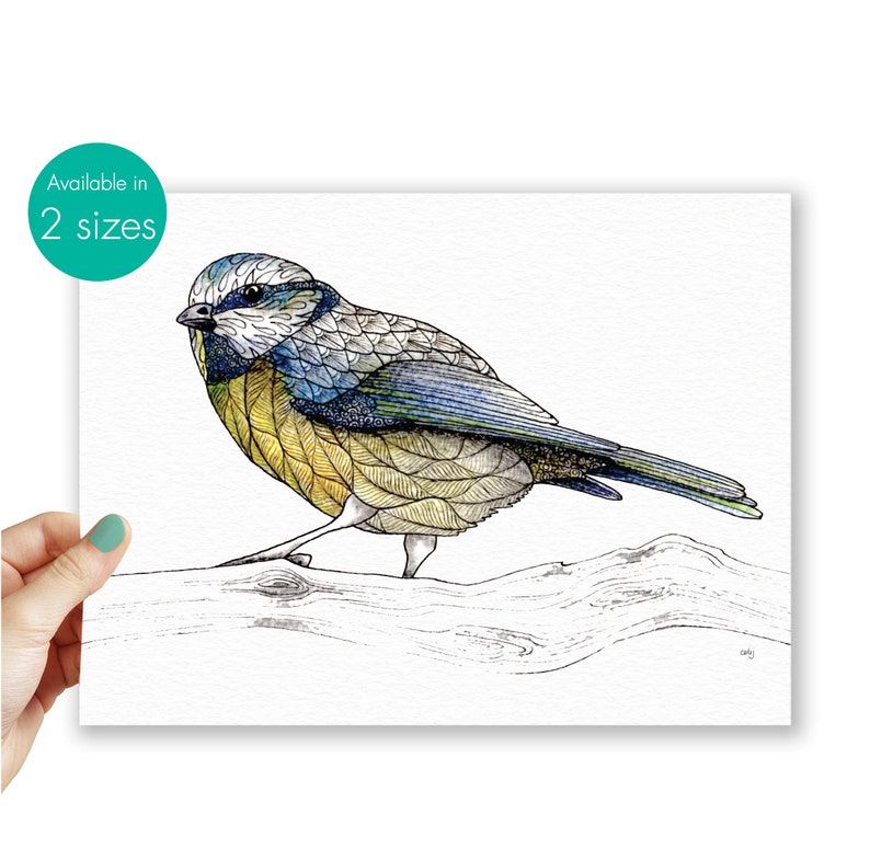 Blue tit hello card anna wright