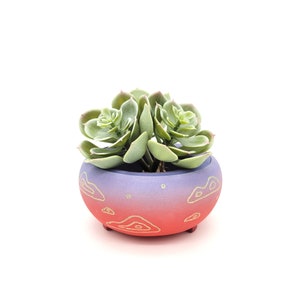 Tiny Planter
