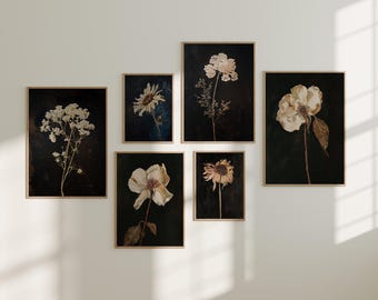 Moody Floral gallery Wall Art Prints Set of 6 Digital Download, Dark Floral Printable Wall Art Bundle, Antique Botanical Art Download bundle