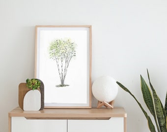 Stampa dell'albero di betulla, arte della parete dell'albero, stampa dell'albero, stampa della betulla, colore dell'acqua dell'albero