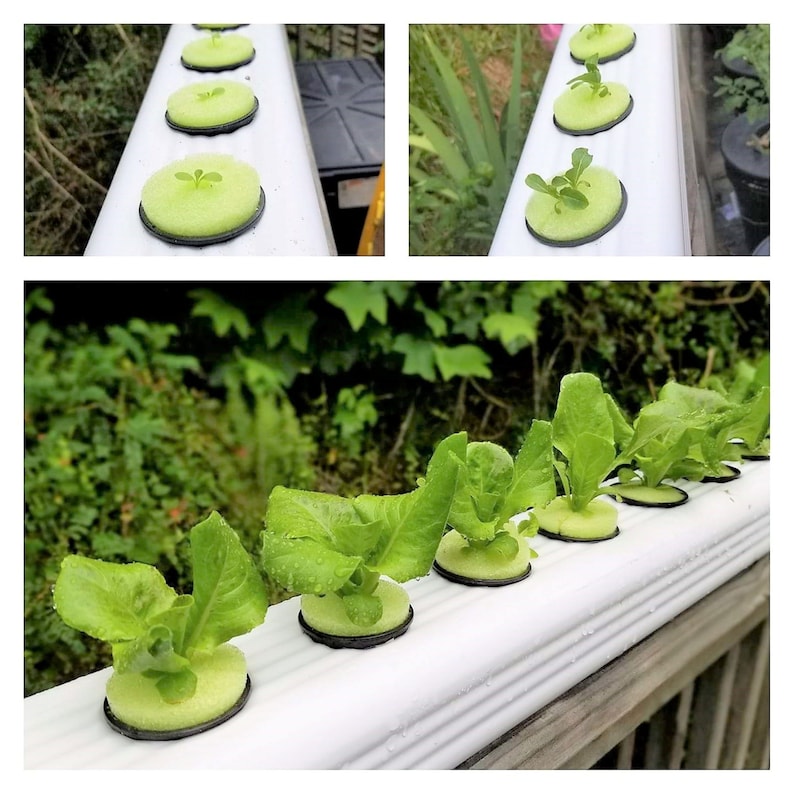 Hydroponic Growing System, 2 Vinyl Downspout 3x4 Inch With 4 End Cap System, DIY Kratky Container Gardening image 10