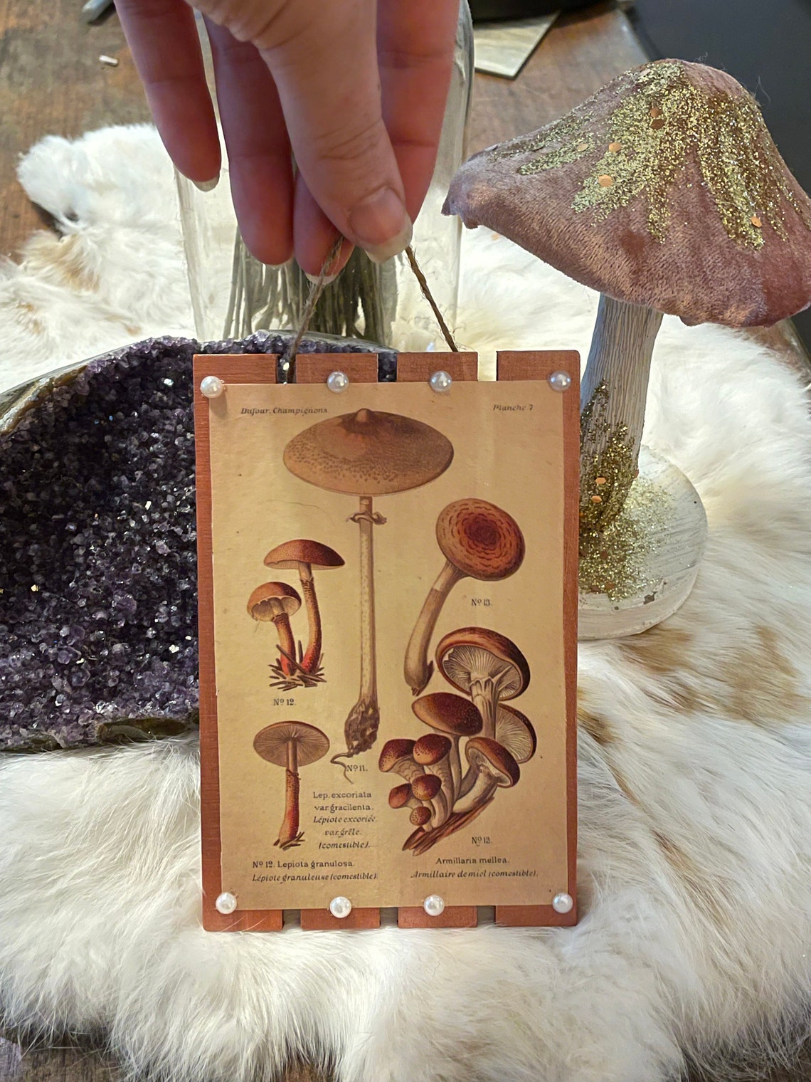 Mushroom Cottagecore Forest Aesthetics Shabby Chic Witchy Etsy