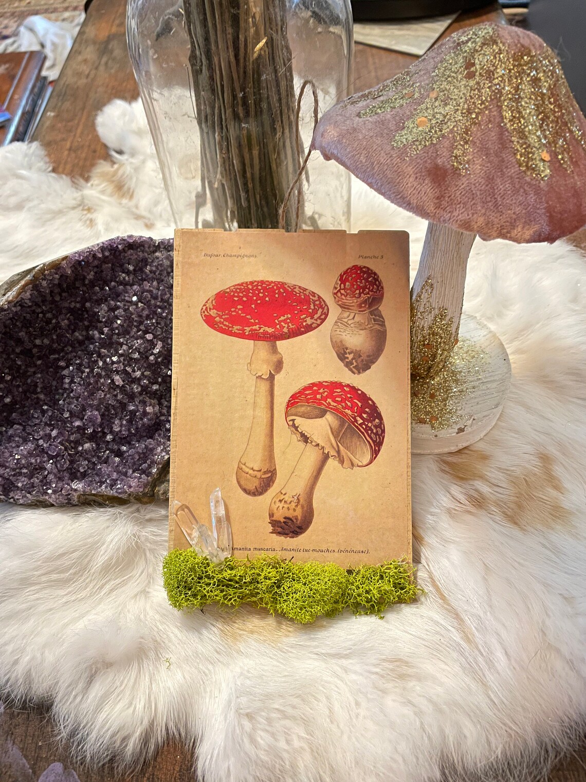 Mushroom Cottagecore Forest Aesthetics Red Mushroom Etsy