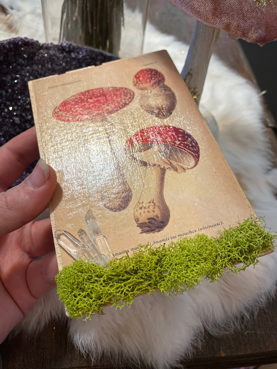 Mushroom Cottagecore Forest Aesthetics Red Mushroom Etsy