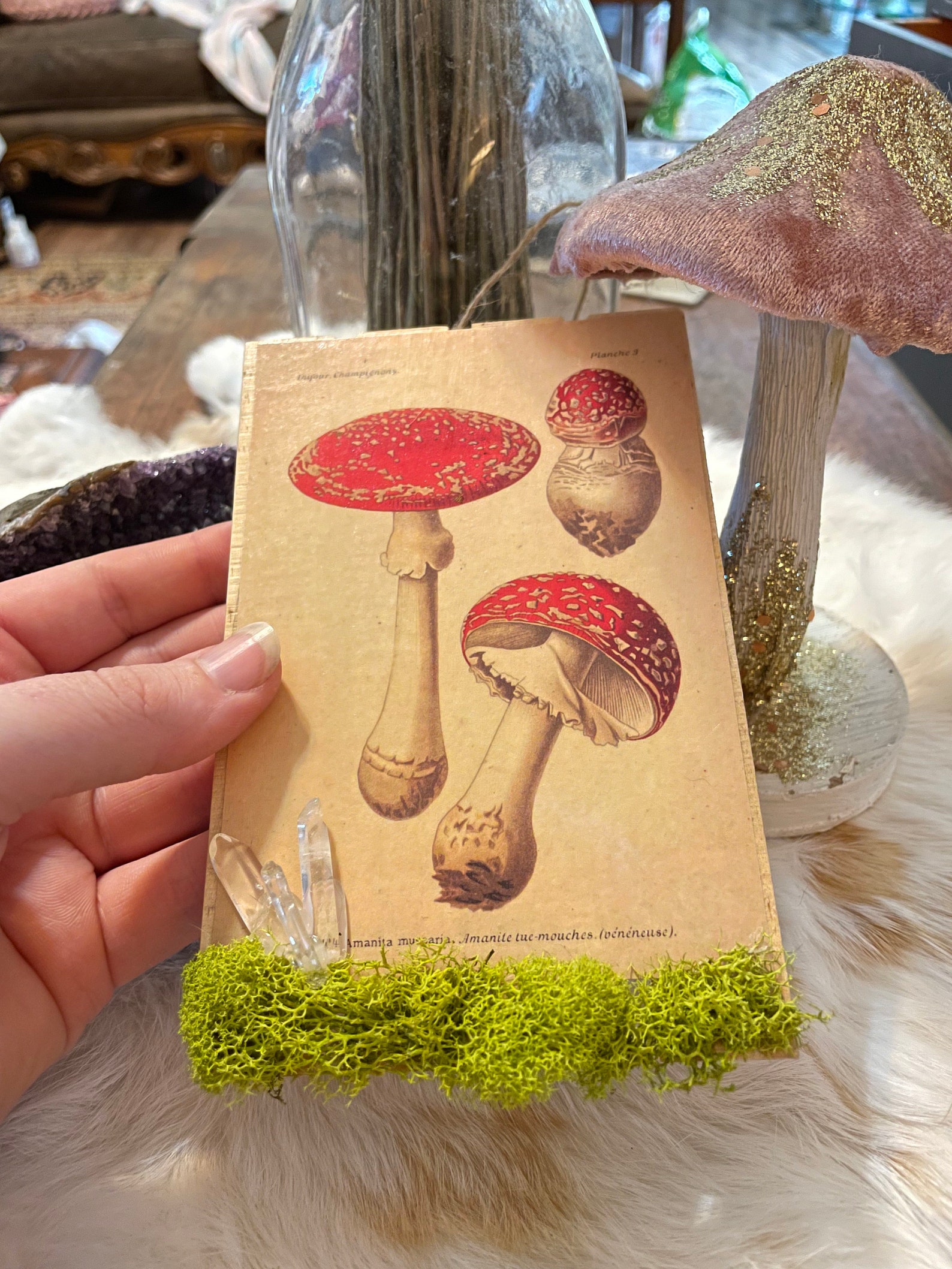 Mushroom Cottagecore Forest Aesthetics Red Mushroom Etsy