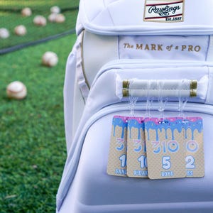 May include: A white baseball equipment bag with the text "Rawlings" and "The Mark of a Pro." Attached are three tags with numbers and names. Baseball balls are scattered on the green grass in the background.