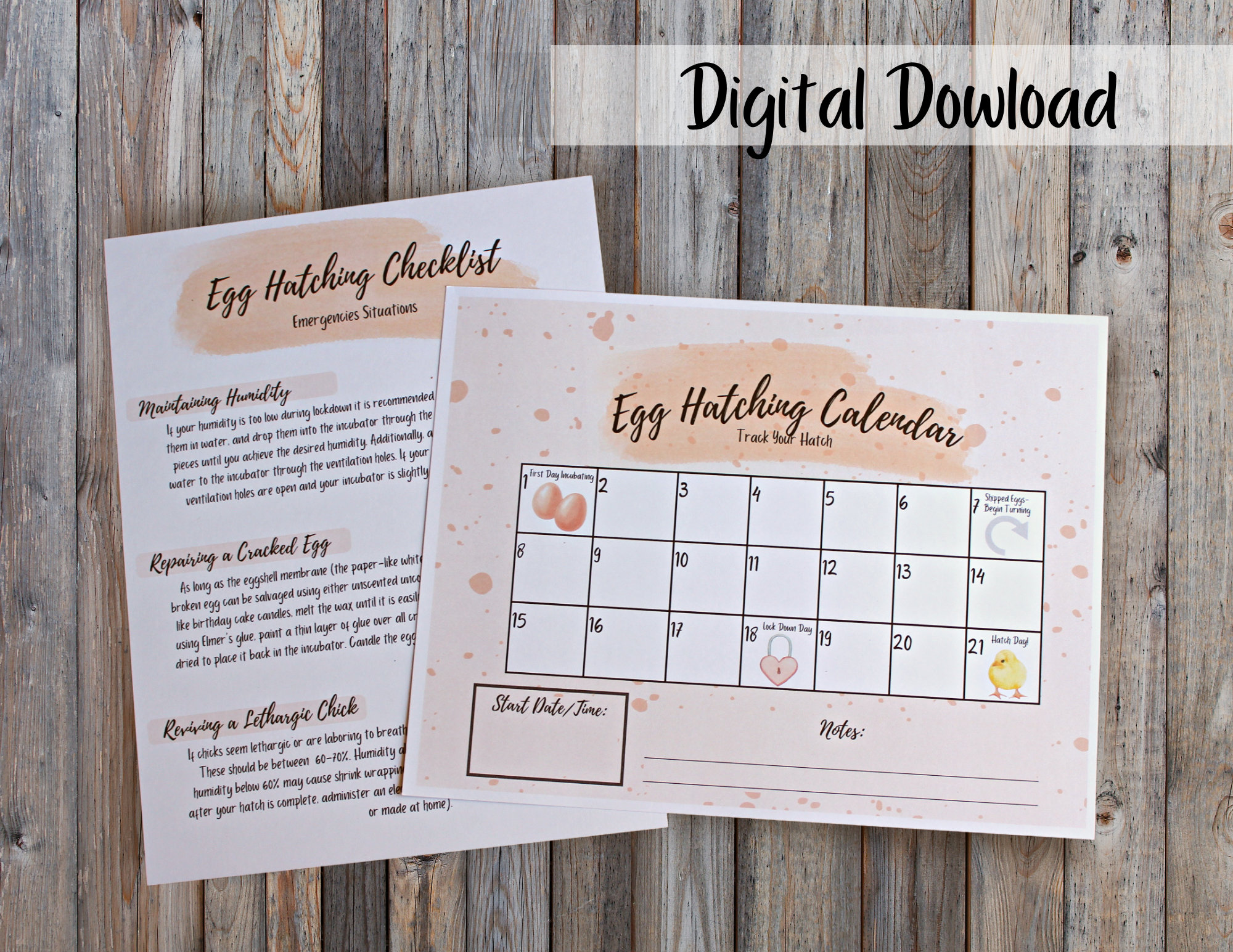 Peach Printable Egg Hatching Checklist, Egg Hatching Calendar, Egg ...