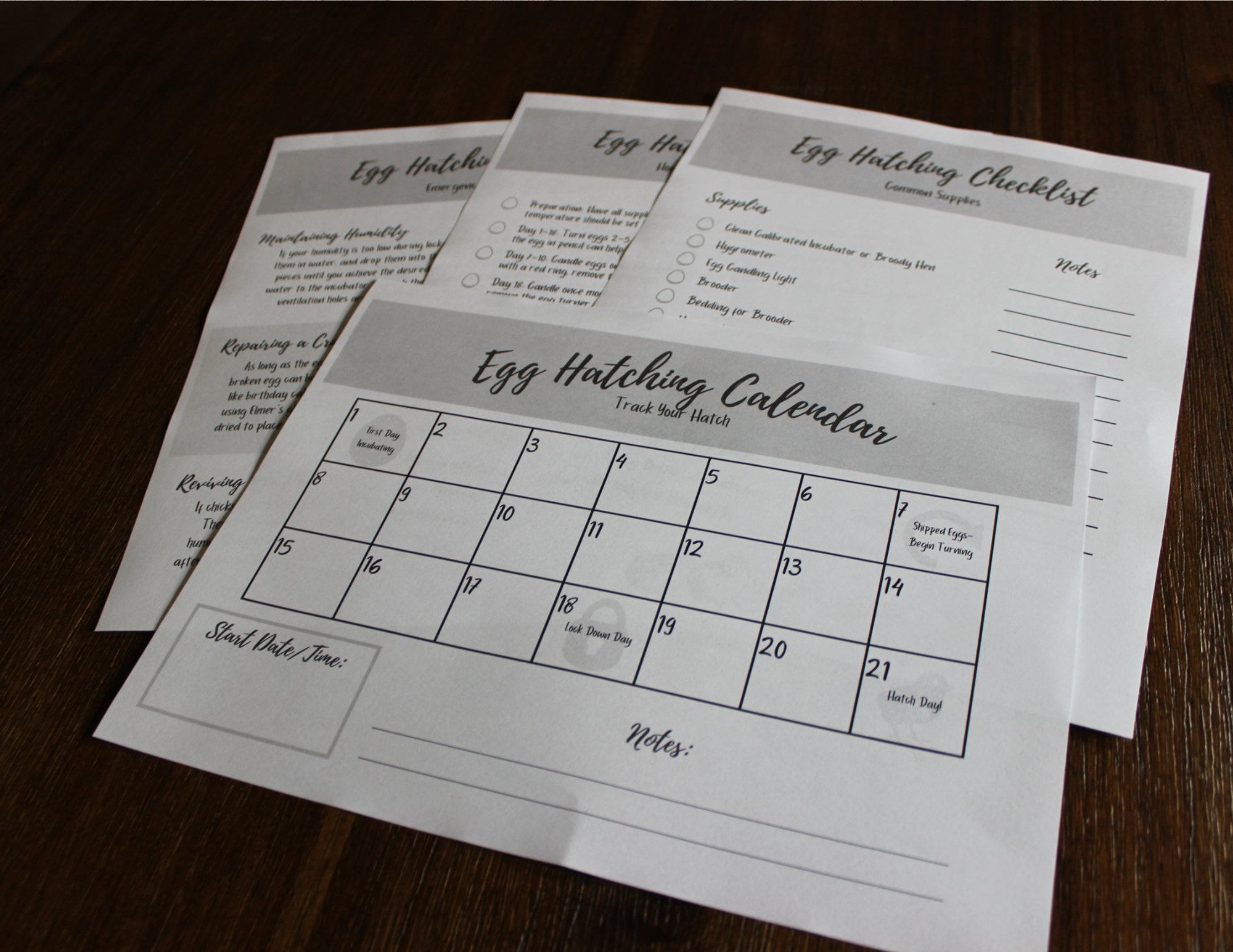 Gray Printable Egg Hatching Checklist, Egg Hatching Calendar, Egg ...