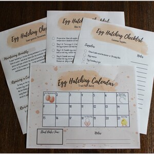 Peach Printable Egg Hatching Checklist, Egg Hatching Calendar, Egg ...