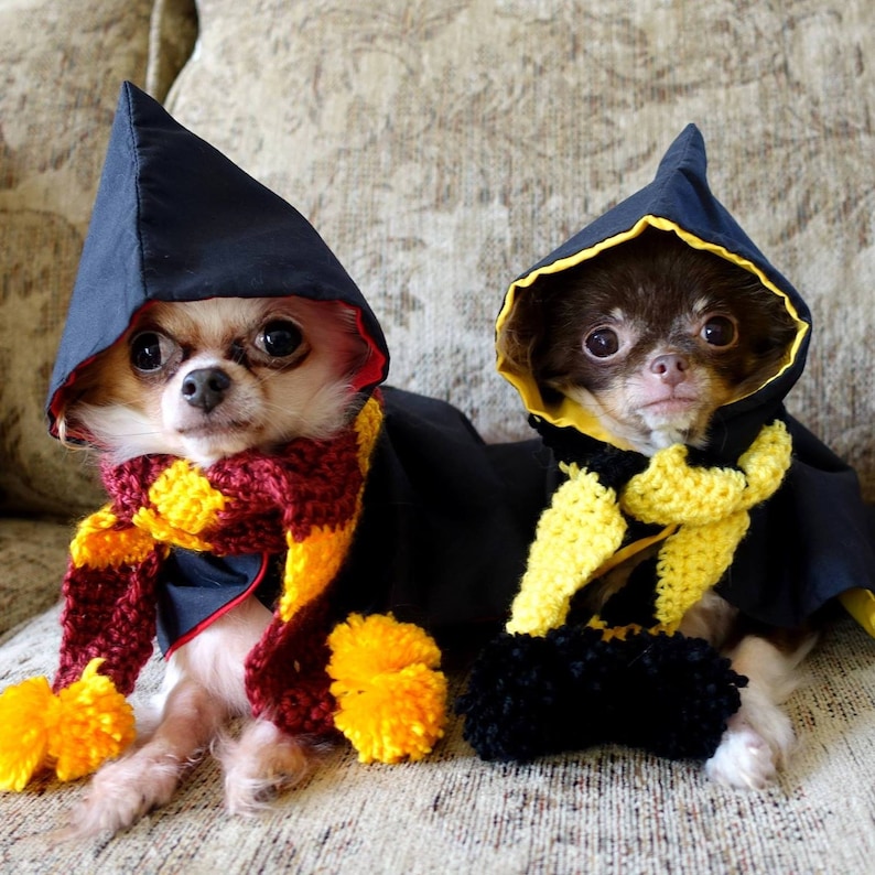 Le Black Wizard & Witch Robes for Dogs and Cat Red, Blue, Yellow, or Green Lining image 6