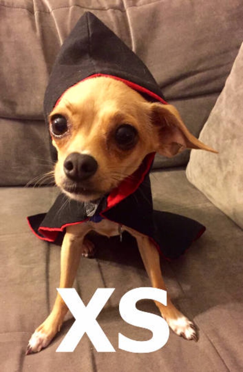 Le Black Wizard & Witch Robes for Dogs and Cat Red, Blue, Yellow, or Green Lining image 5