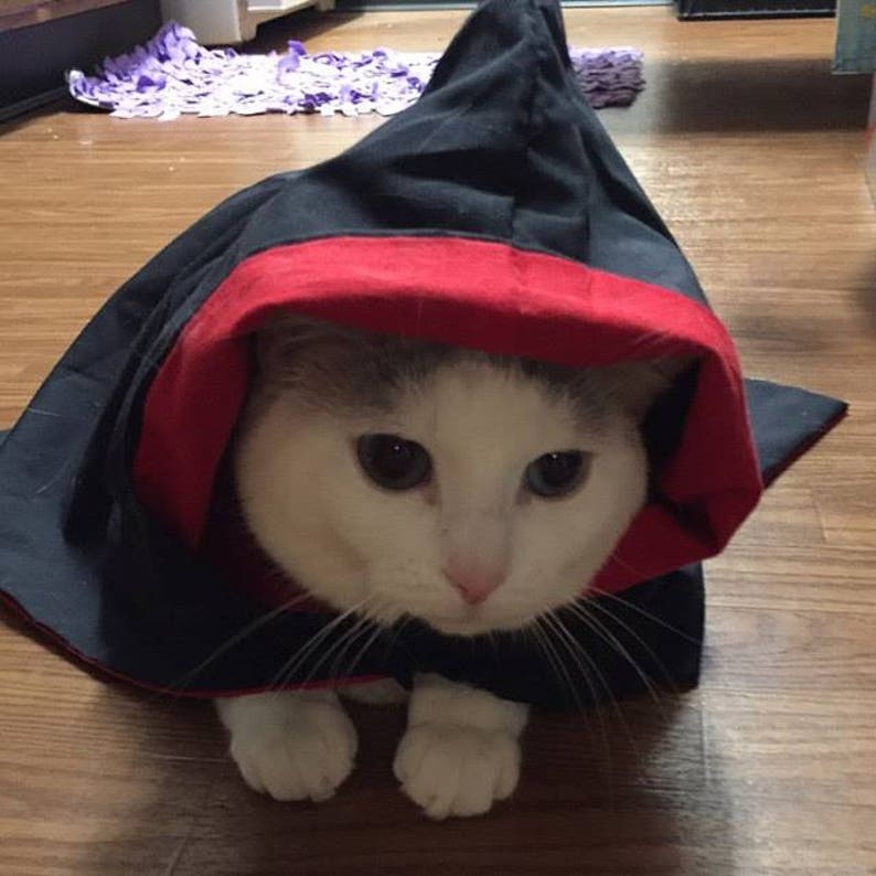 Le Black Wizard & Witch Robes for Dogs and Cat Red, Blue, Yellow, or Green Lining image 7