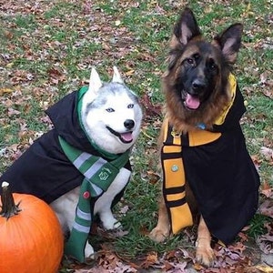 Le Black Wizard & Witch Robes for Dogs and Cat Red, Blue, Yellow, or Green Lining image 1