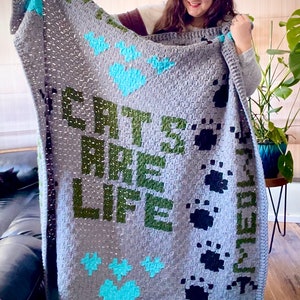May include: A gray crocheted blanket with the words "Cats Are Life" in green and blue paw prints. The blanket is being held by a person.