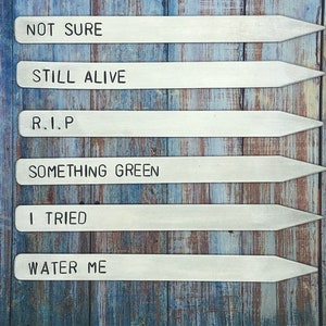 Garden and Plant Markers - Funny Garden Label - Funny Garden Stake - Funny Plant Sayings - Plant Puns - Mother&#39;s Day - Funny House Plant Pun