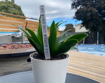 Garden and Plant Markers - Funny Plant Label - Funny Garden Stake - Funny Plant Sayings - Plant Puns - Mother's Day - Funny House Plant Pun