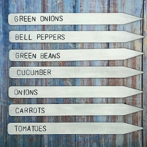 Garden and Plant Markers - Vegetable Garden - Fruit Garden - Garden Labels - Garden Stakes - Gardener Gift - Mother&#39;s Day - Green Thumb
