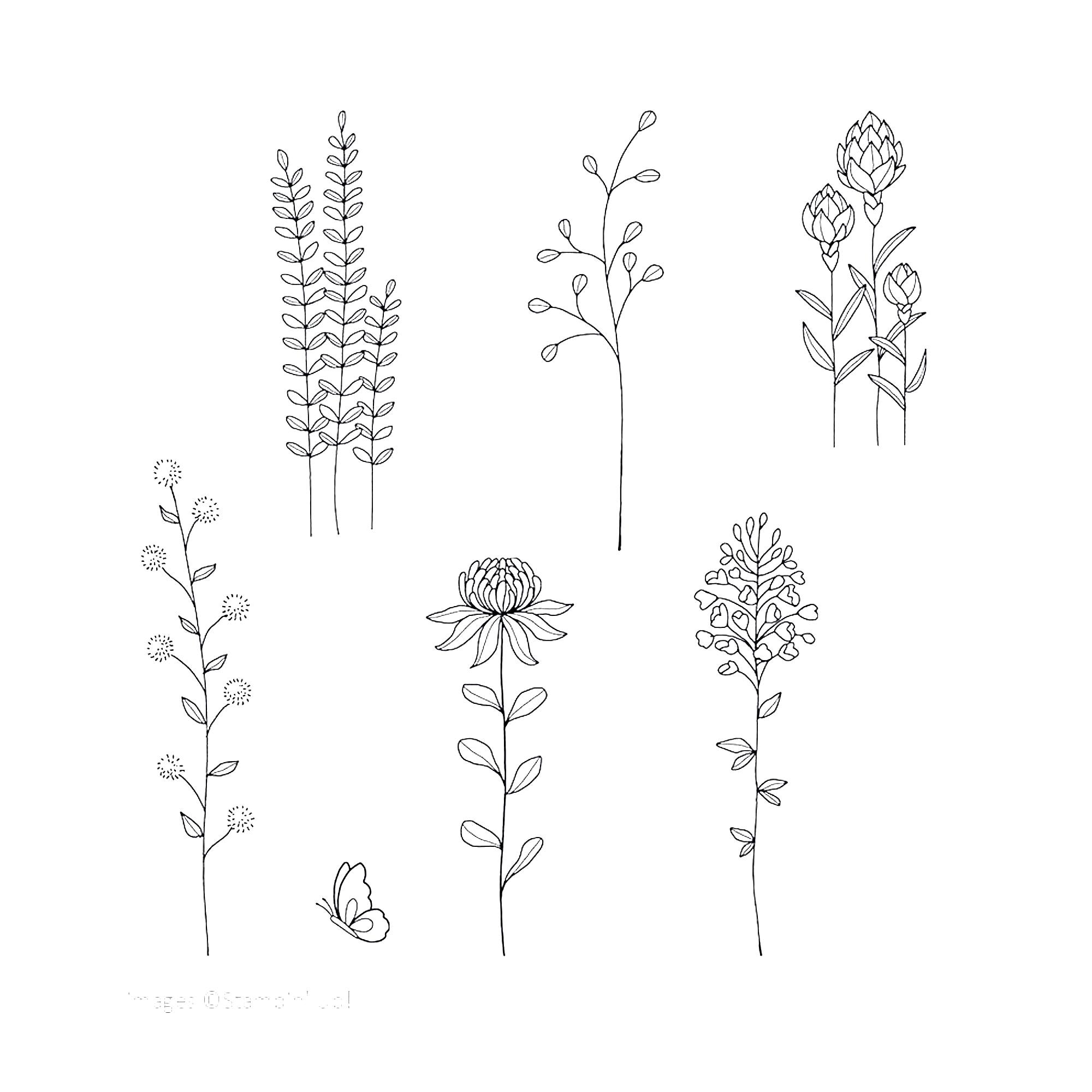 1 Stampin' Up! Stamp Set "Flowering Fields"
