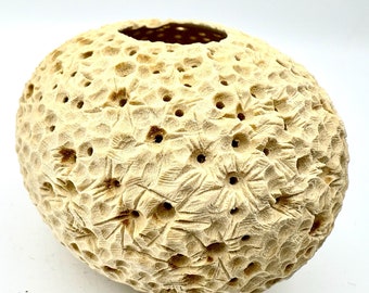 May include: A beige ceramic vase with a textured surface resembling coral. The vase has a round shape and is decorated with small holes throughout the surface.